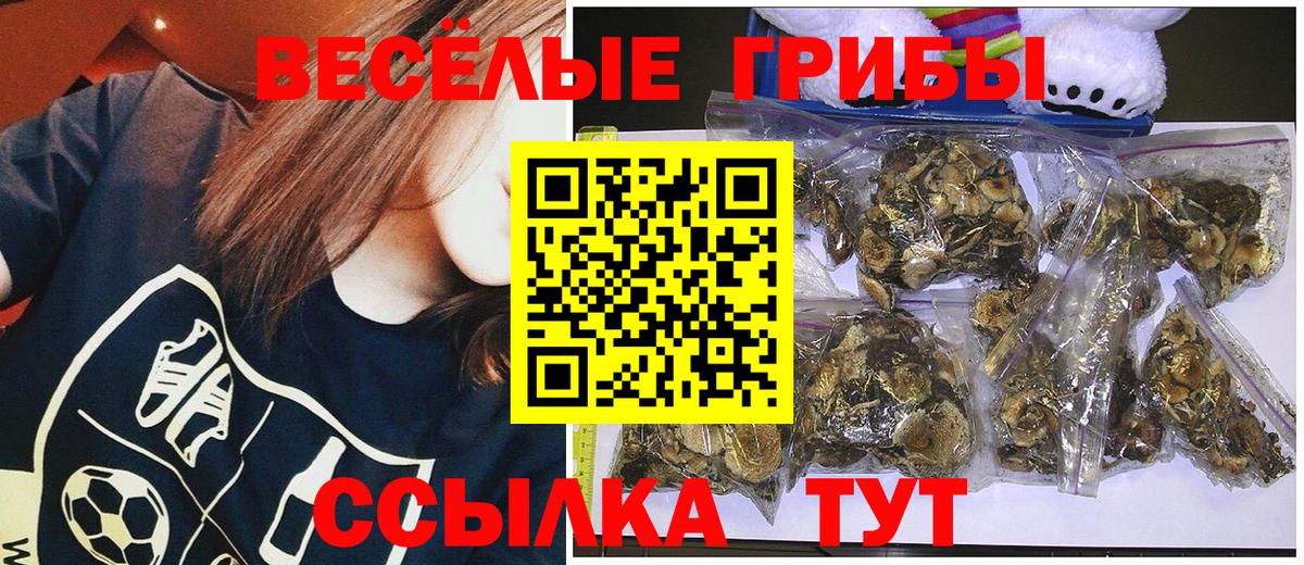 продажа наркотиков  Псилоцибиновые грибы Psilocybe  Вход с VPN  Псилоцибиновые грибы MAGIC MUSHROOMS  Борзя 