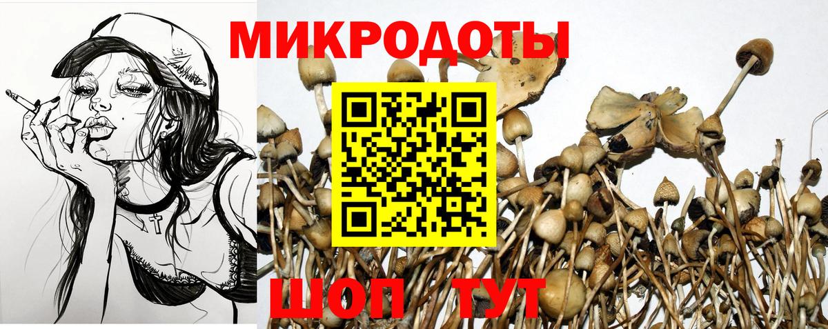 Галлюциногенные грибы GOLDEN TEACHER Борзя